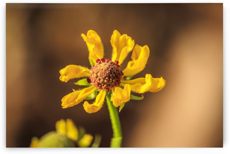 Store Georgia 5L3A0133 by Tono Chavez