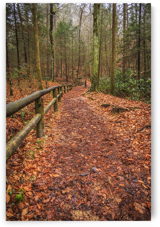 Store Georgia 5L3A5708 by Tono Chavez