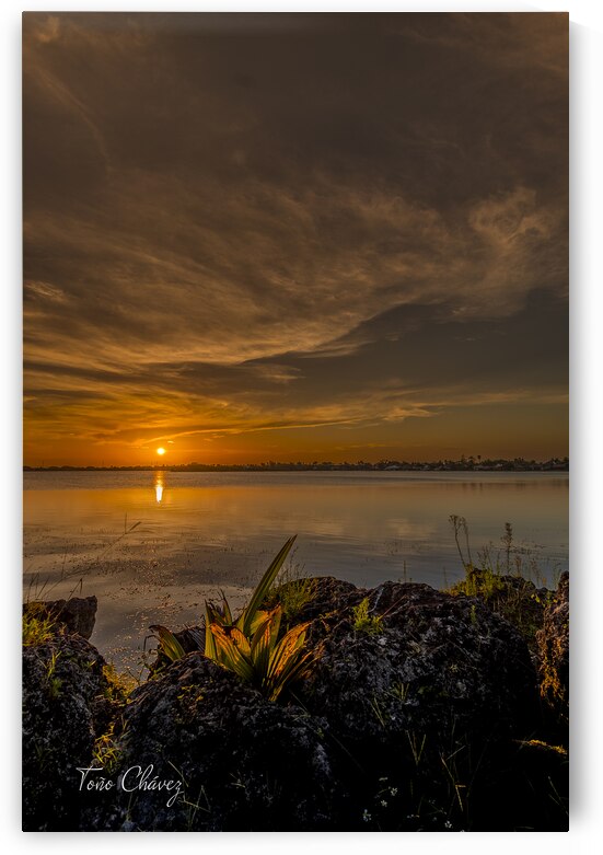 Sunset 6 by Tono Chavez