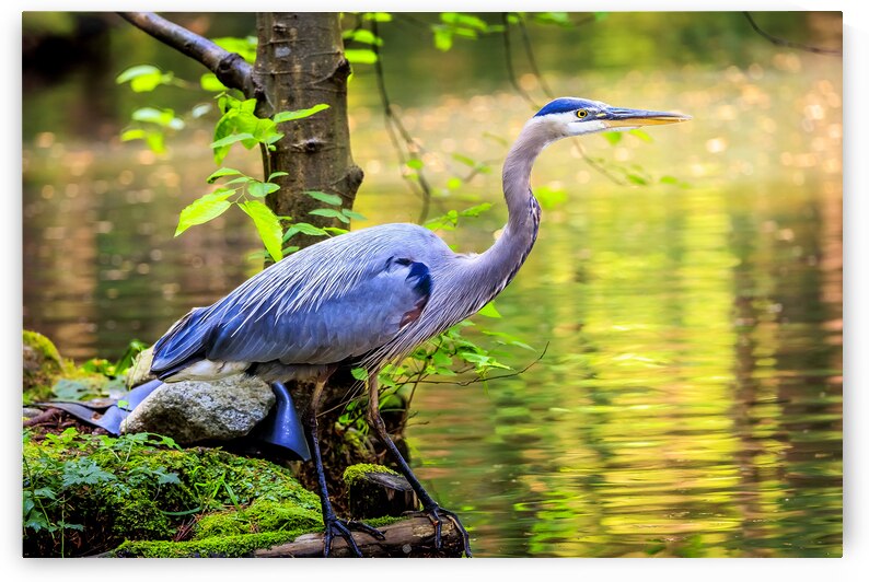 Store Vancouver 5L3A6854 by Tono Chavez