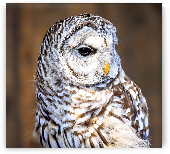 Store Vancouver 5L3A6870 by Tono Chavez