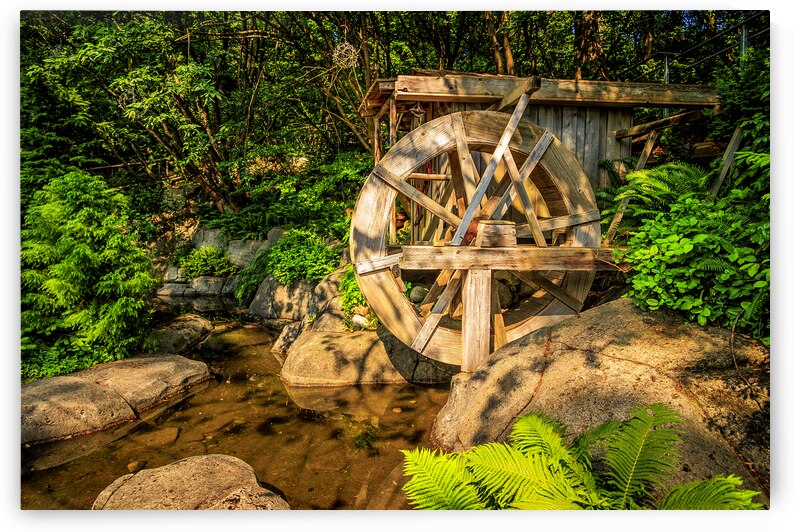 Store Vancouver 5L3A6951 by Tono Chavez