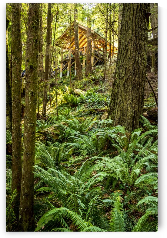 Store Vancouver 5L3A6895 by Tono Chavez