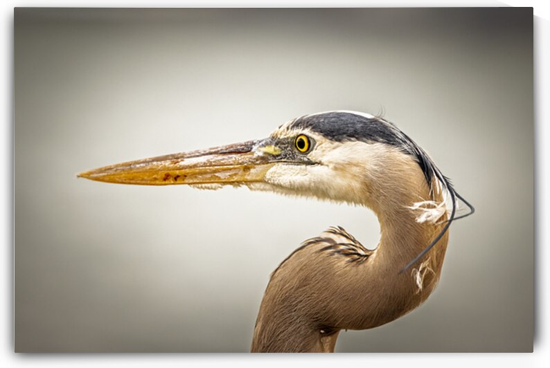 Store Key Biscayne AE2A9025 by Tono Chavez