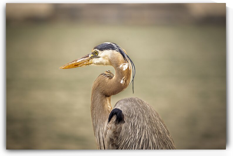 Store Key Biscayne AE2A9010 by Tono Chavez