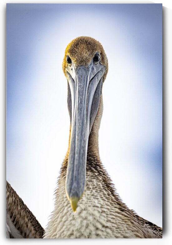 Store Dania Beach AE2A8738 by Tono Chavez