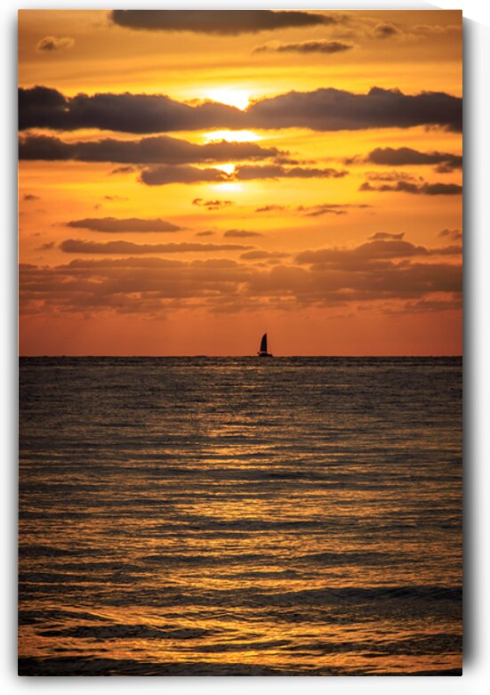 Store Dania Beach AE2A8665 by Tono Chavez