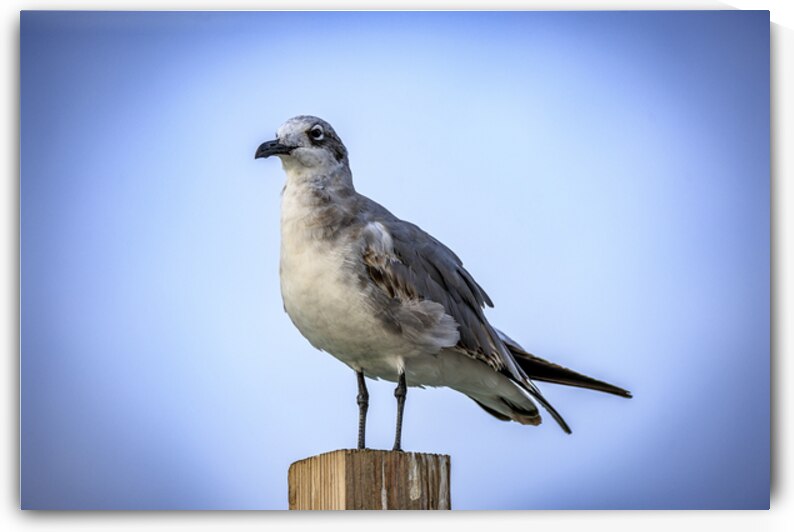 Store Dania Beach AE2A8868 by Tono Chavez