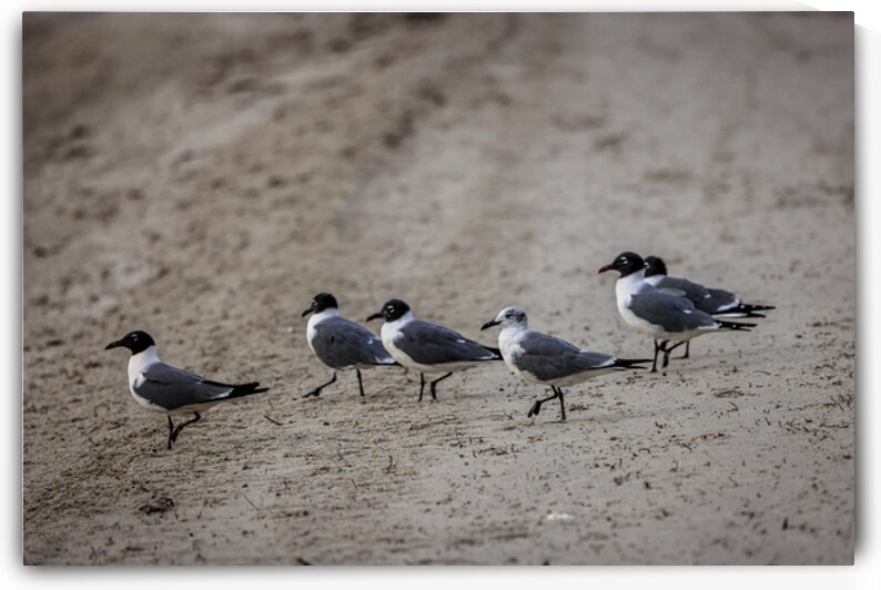 Store Dania Beach AE2A8947 by Tono Chavez