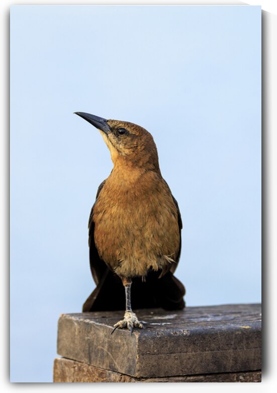 Store Dania Beach AE2A8779 by Tono Chavez