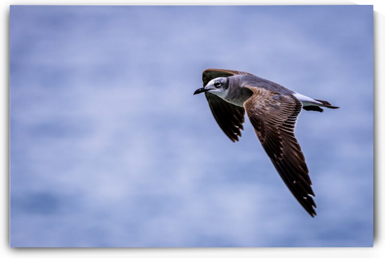 Store Dania Beach AE2A8885 by Tono Chavez