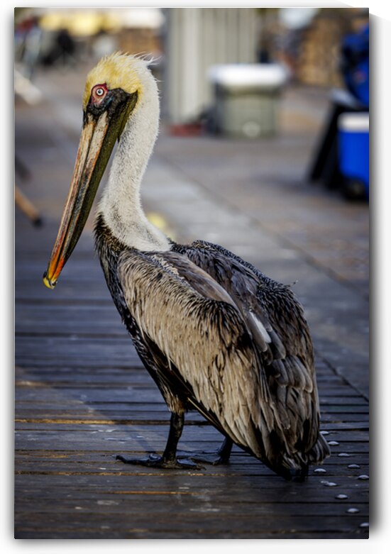 Store Dania Beach AE2A8718 by Tono Chavez