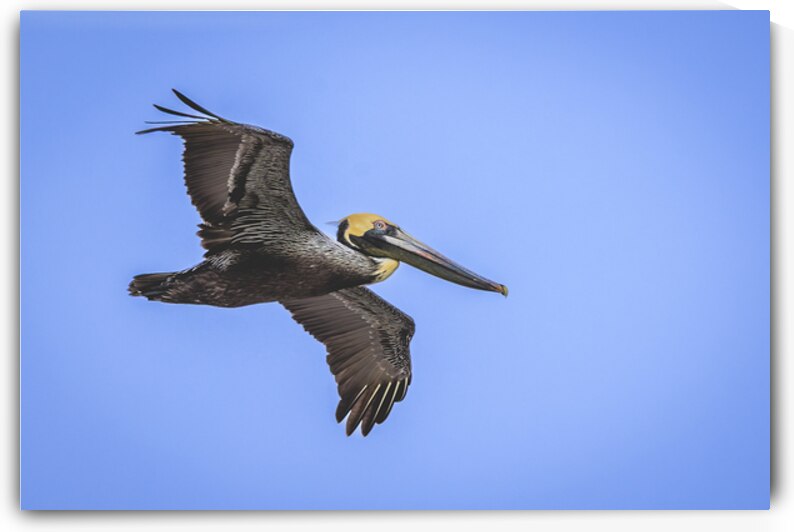 Store Dania Beach AE2A8905 by Tono Chavez