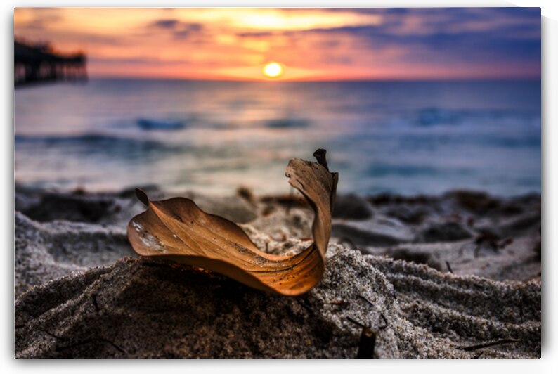 Store Dania Beach AE2A8654 by Tono Chavez