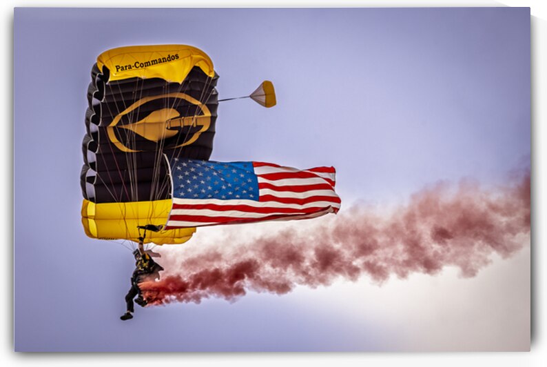 Store FLLAirShow AE2A2796 by Tono Chavez