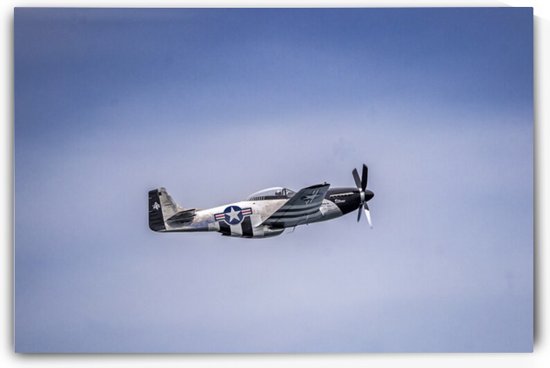 Store FLLAirShow AE2A3758 by Tono Chavez