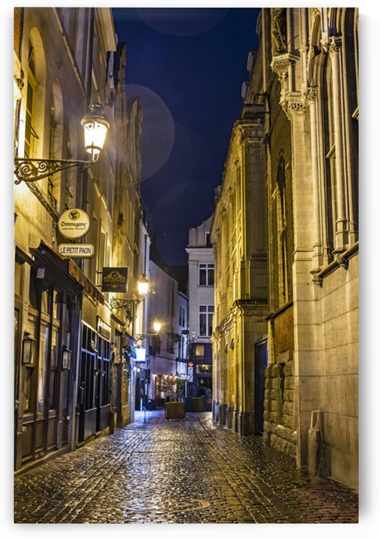 Belgium E2A9174 by Tono Chavez