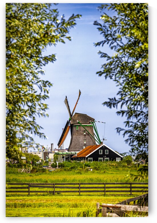 Holland E2A0159 by Tono Chavez