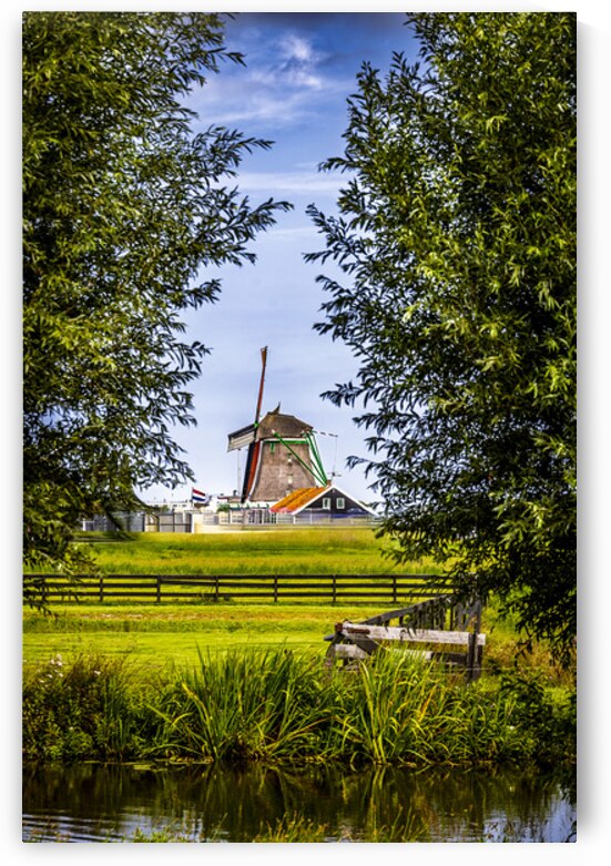 Holland E2A0158 by Tono Chavez