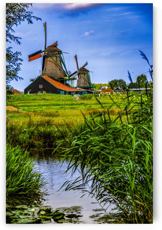 Holland E2A0145 by Tono Chavez