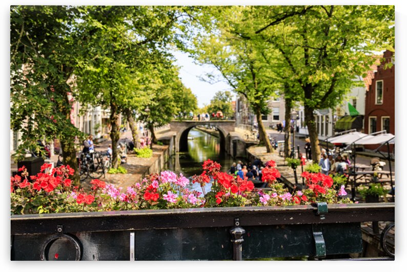 HollandAE2A9823 by Tono Chavez