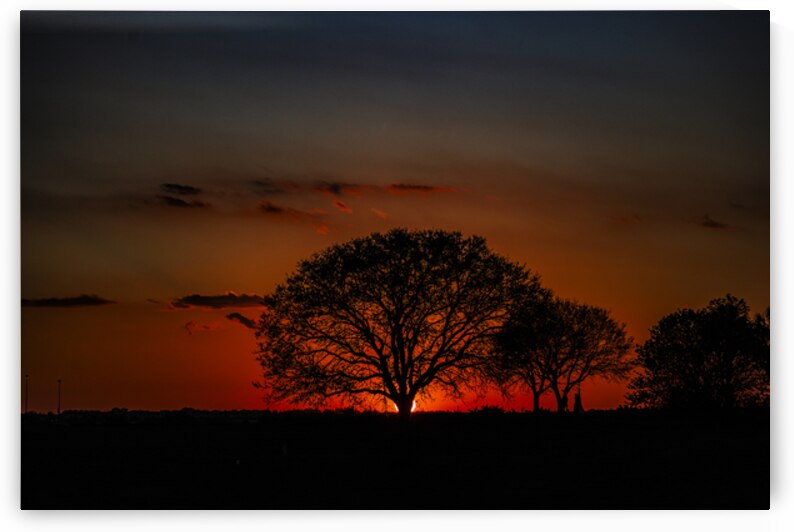 Vista View MG 7330 by Tono Chavez