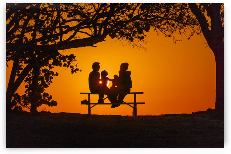 Vista View MG 7320 by Tono Chavez