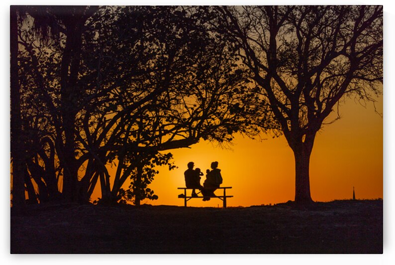 Vista View MG 7313 by Tono Chavez