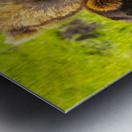 Alaska Bears Metal print