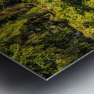 Store Alaska5L3A7987 Metal print