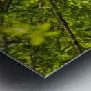 Store Alaska5L3A8325 Metal print