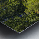 Store Victoria 5L3A8505 Metal print