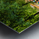 Store Paris 5L3A2412 Metal print