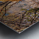 Store New York DSC 4114 Metal print