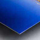 Store Rome 5L3A5108 Metal print