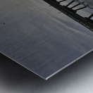 Store Florida 5L3A6591 Metal print