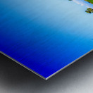 Store Florida 5L3A9333 Metal print