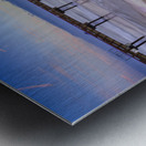 Store Florida 5L3A9499 Metal print