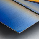 Store Florida 5L3A9287 Metal print