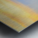 Store Florida 5L3A9746 Metal print