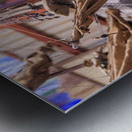 Store Florida 5L3A0353 Metal print