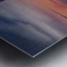 Store Florida 5L3A6545 Metal print