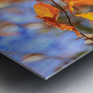 Store Georgia 5L3A0068 Metal print