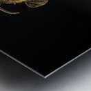 Store Macro 5L3A2811 Metal print