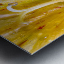 Store Macro 5L3A3699 Metal print