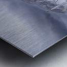 Store Vancouver  L3A5579 Metal print