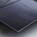 Store Key Biscayne AE2A9078 Metal print