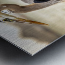 Store Key Biscayne AE2A9016 Metal print