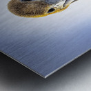 Store Dania Beach AE2A8738 Metal print