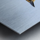 Store Dania Beach AE2A8779 Metal print